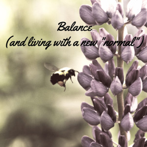 balance_640